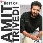 Best Of Amit Trivedi Vol 2 - Kavita Seth Song Download